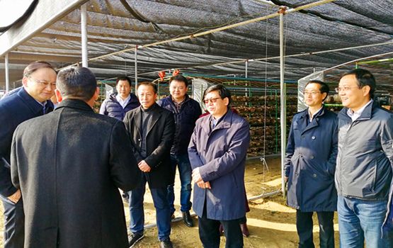 伟德国际体育在线
