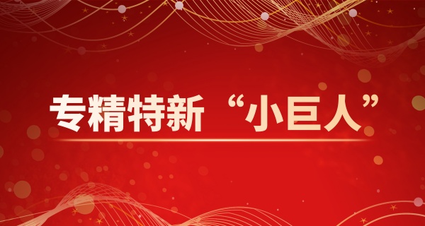 必威BETWAY西汉姆联成功入选国家专精特新“小巨人”企业